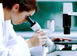 prodotti e servizi del franchising Asiagem