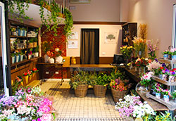 prodotti e servizi del franchising Fridas_Flower