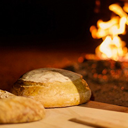 prodotti e servizi del franchising Saporito